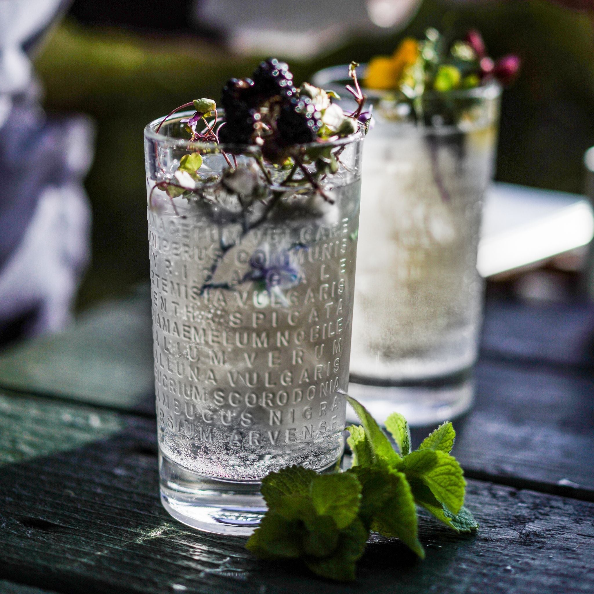 The Botanist Gin Highball Glass