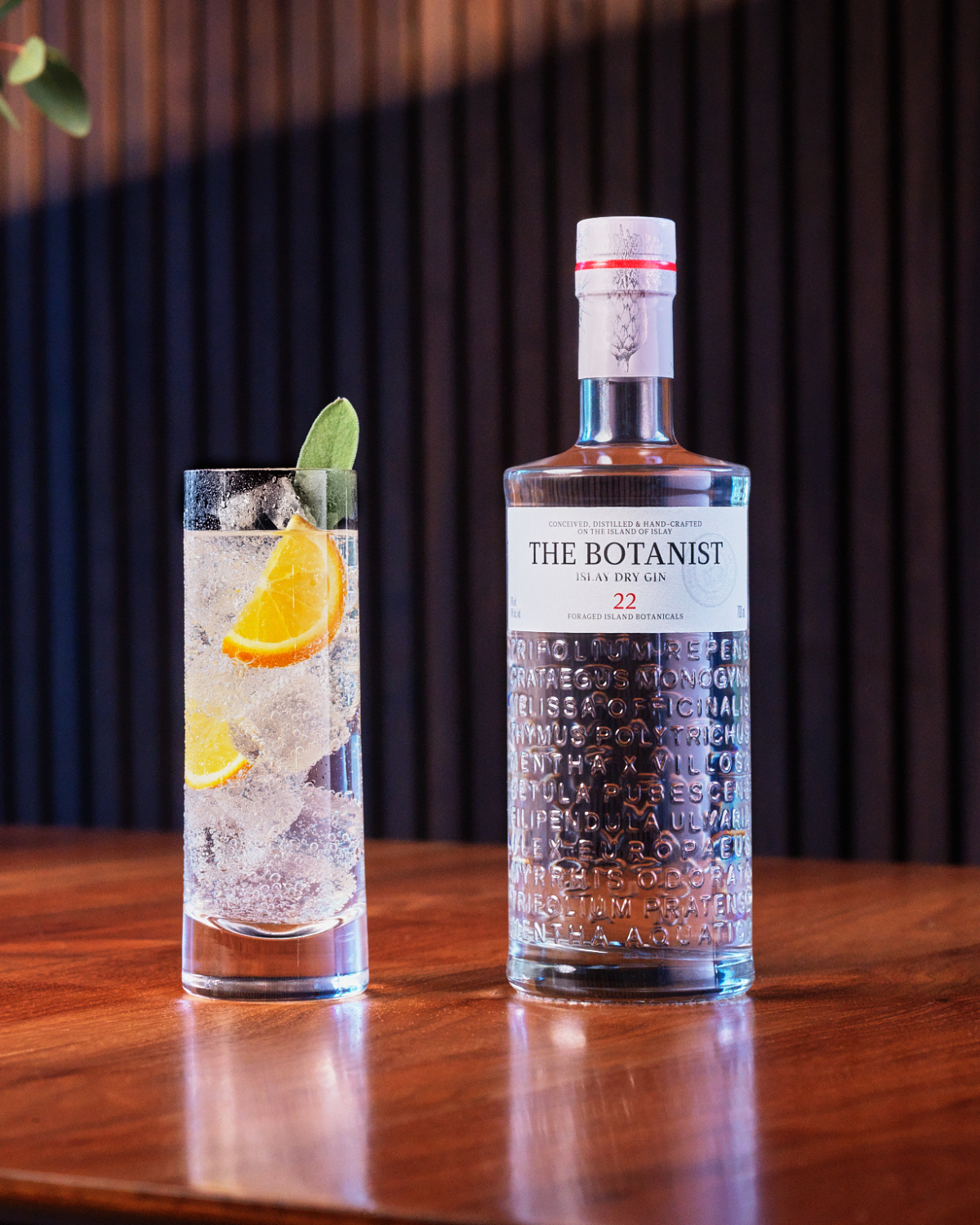 The Botanist Islay Dry Gin